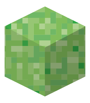 Managing Information Minecraft Discussion Cube