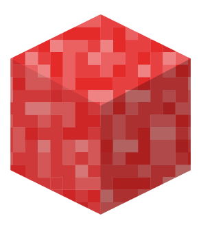 Self-Management Minecraft Discussion Cube